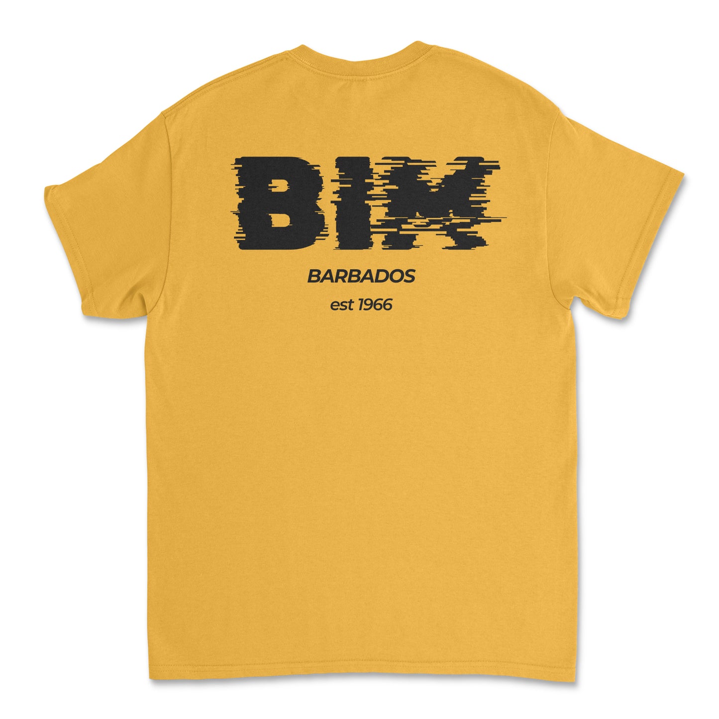 Independence T-Shirt