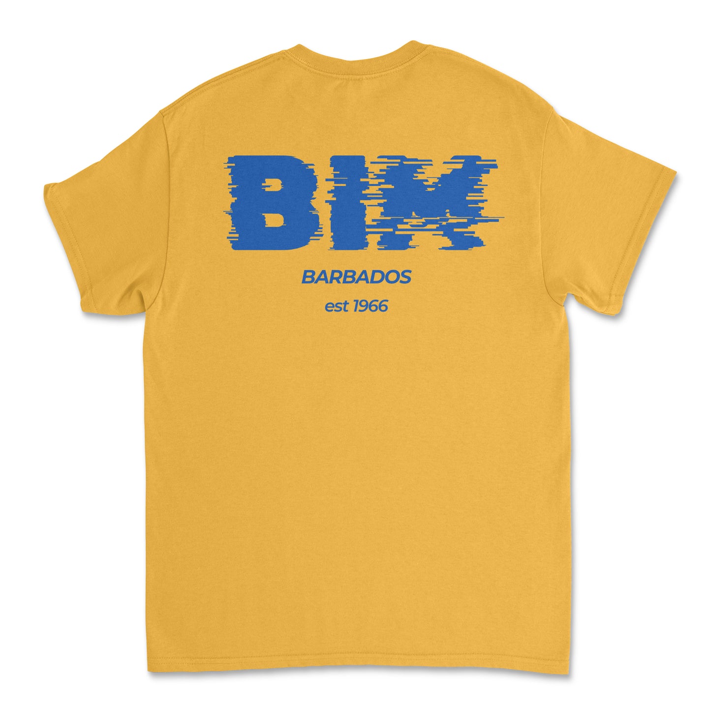 Independence T-Shirt