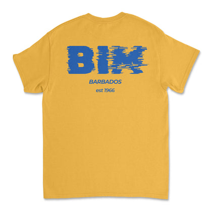 Independence T-Shirt