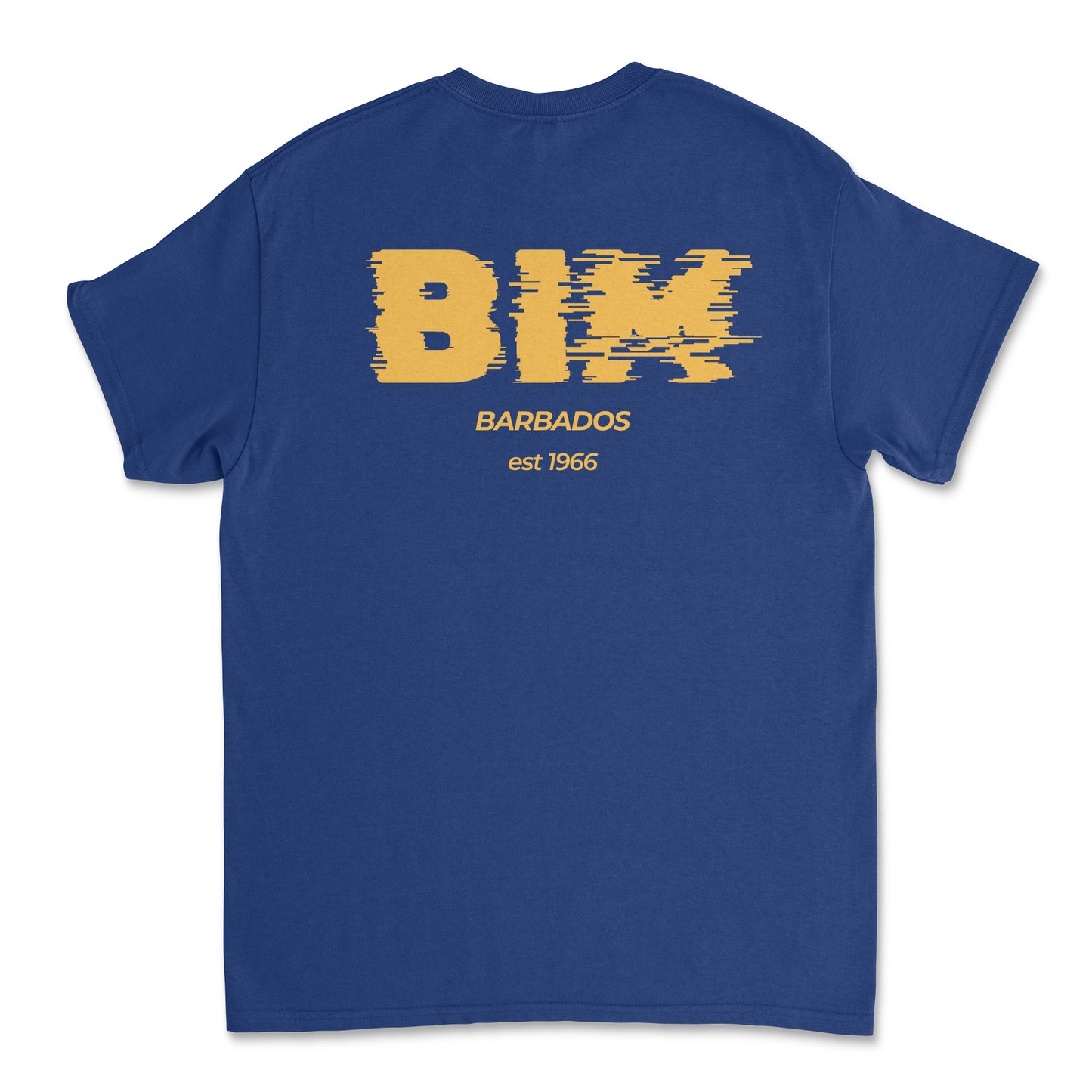 Independence T-Shirt