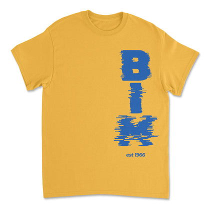 Independence T-Shirt