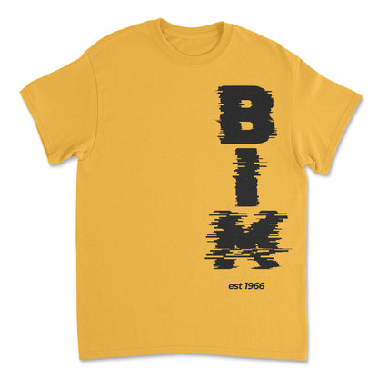 Independence T-Shirt